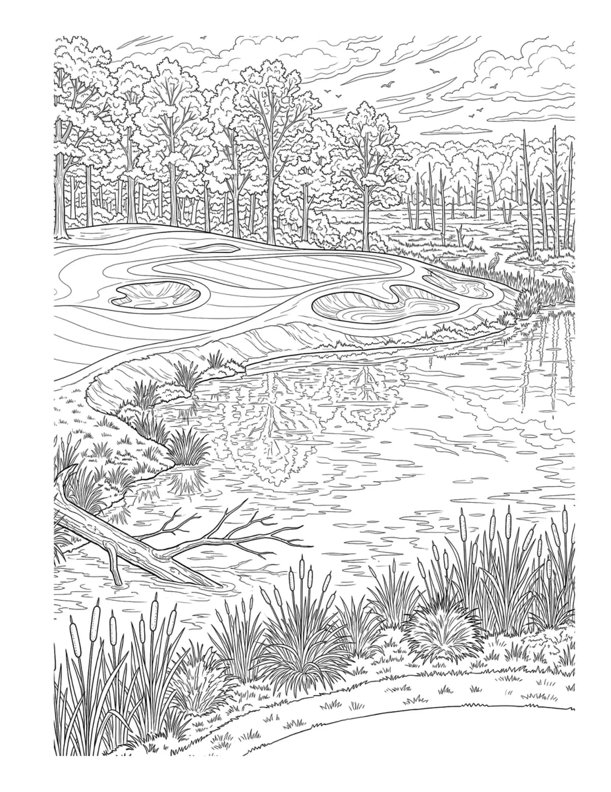 Interior plate 3 — golfs-iconic-holes-tom-fazio-masterpieces-volume-viii-p037.webp